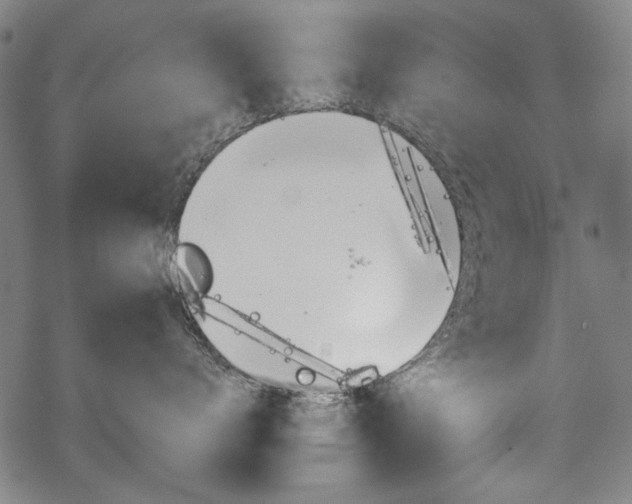 X0000069380672200605120919