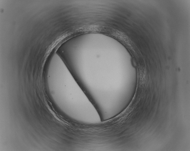 X0000069380674200605120918