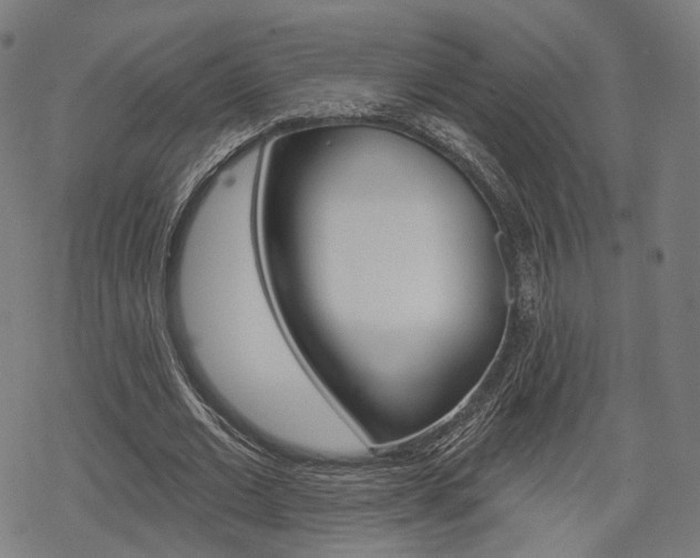 X0000069380677200605120918