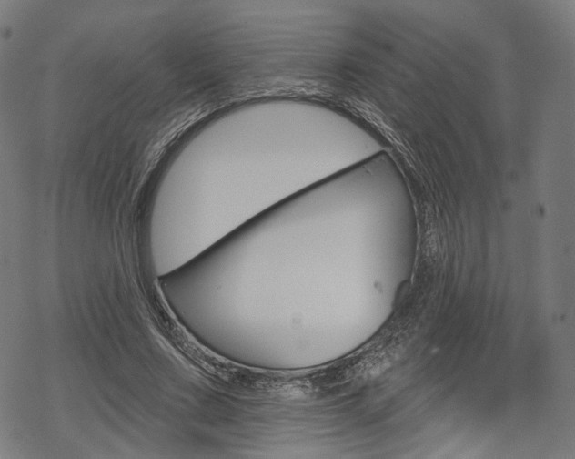 X0000069380683200605120918