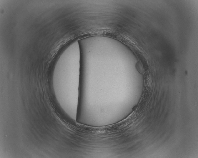 X0000069380687200605120918