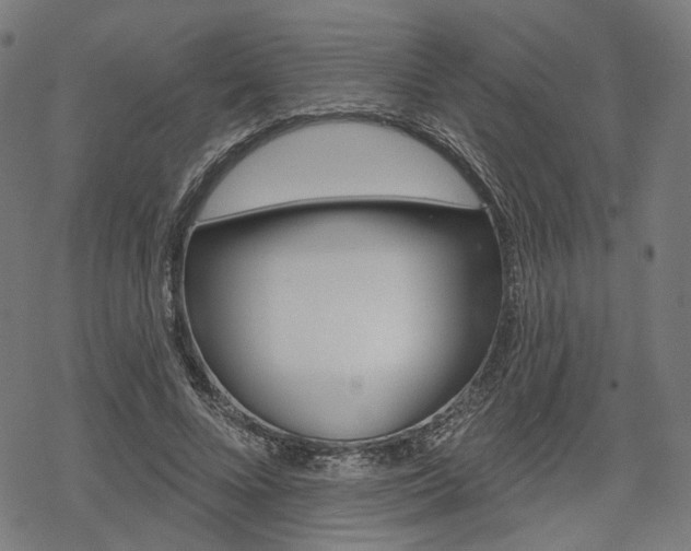 X0000069380688200605120918