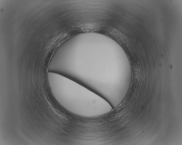 X0000069380690200605120918