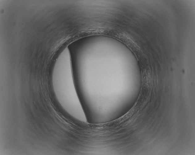 X0000069380692200605120918
