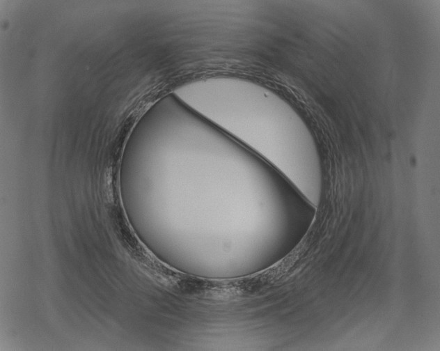 X0000069380696200605120918