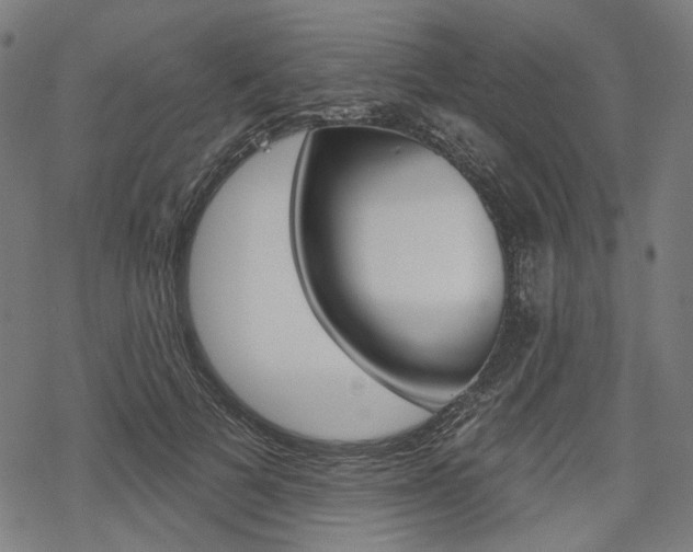 X0000069380697200605120918