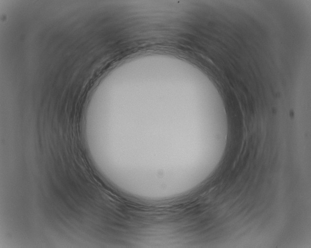 X0000069380701200605120918