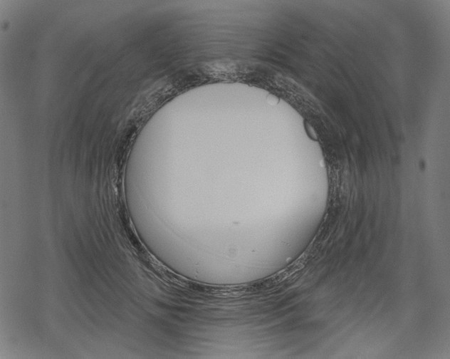 X0000069380702200605120918