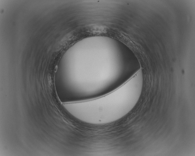 X0000069380704200605120918