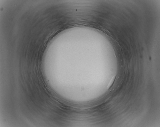 X0000069380705200605120918