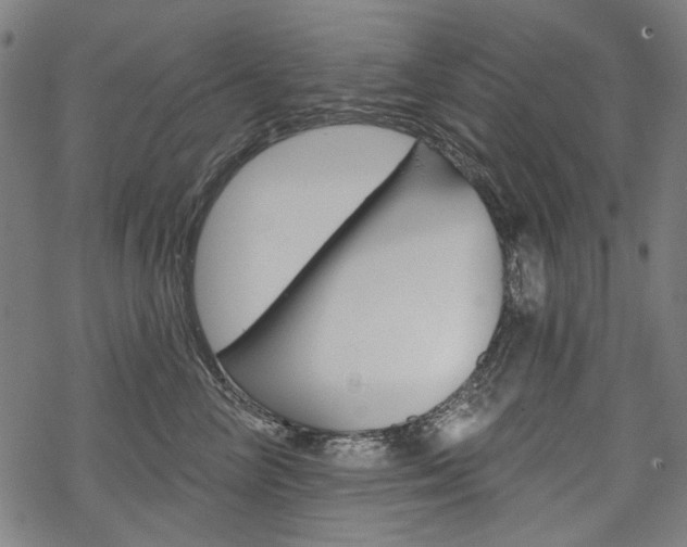 X0000069380714200605120918