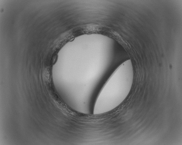 X0000069380715200605120918