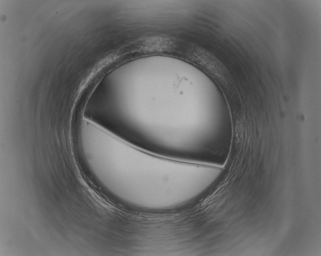 X0000069380722200605120917