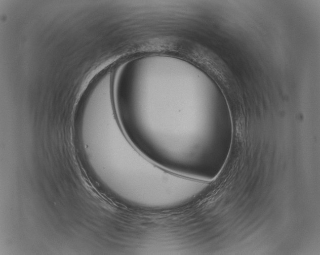 X0000069380724200605120917