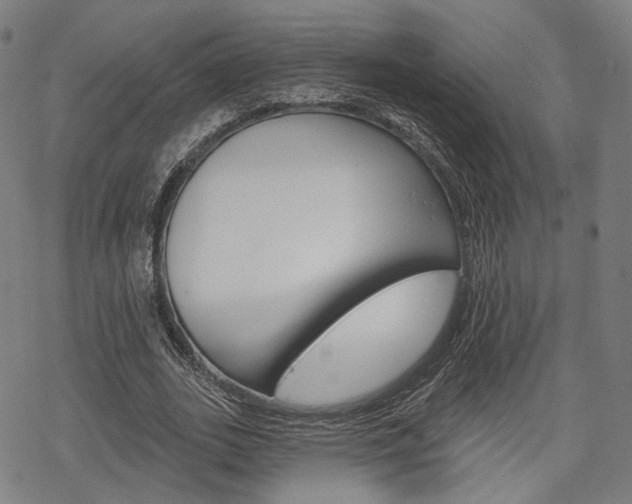 X0000069380727200605120917