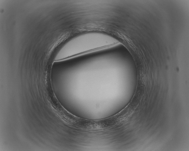 X0000069380735200605120917