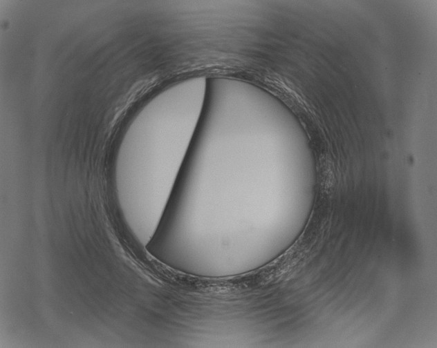 X0000069380738200605120917