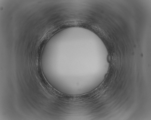 X0000069380739200605120917
