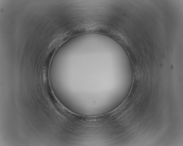 X0000069380740200605120917