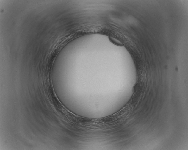 X0000069380743200605120917