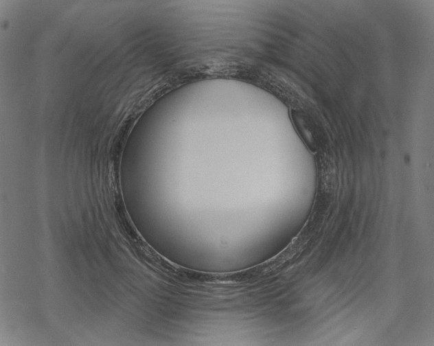 X0000069380748200605120917