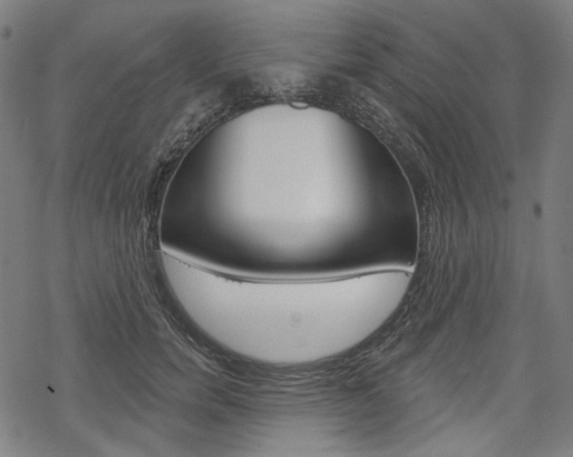 X0000069380750200605120917