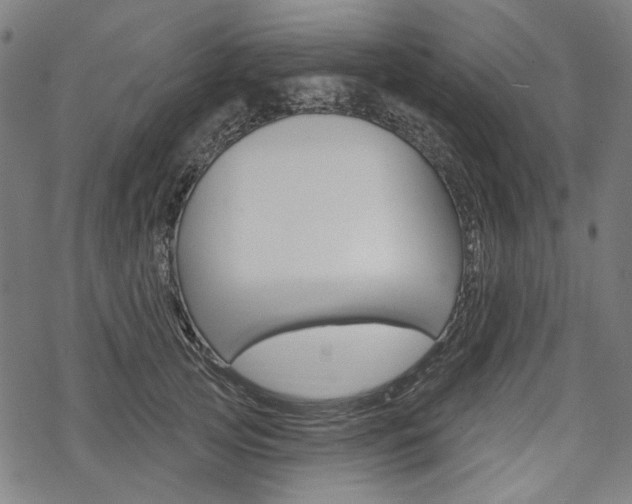 X0000069380753200605120917