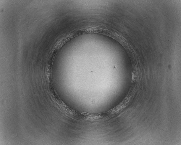 X0000069380762200605120917