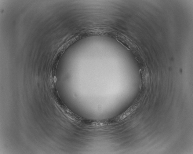 X0000069380764200605120918