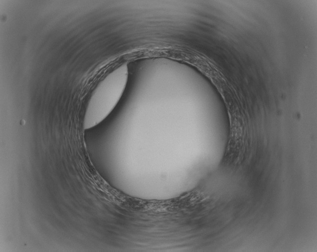 X0000069380773200605120917