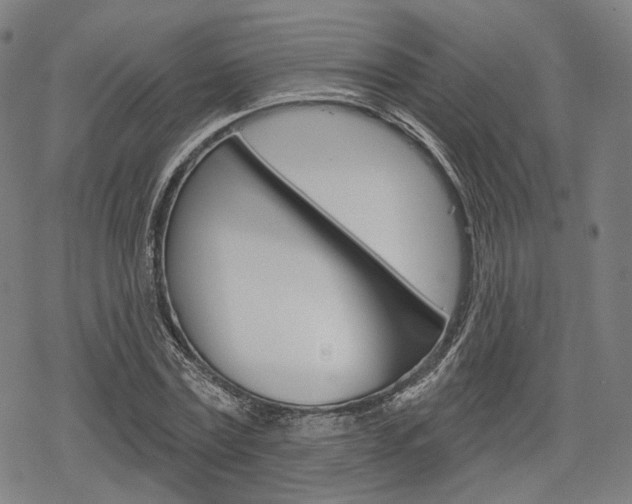 X0000069380779200605120917