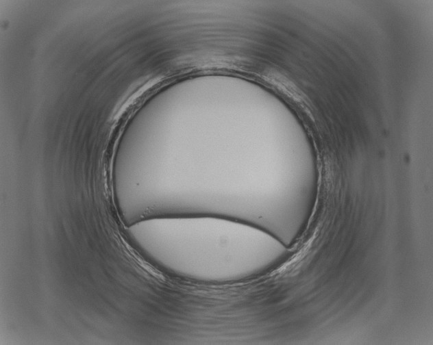 X0000069380782200605120917