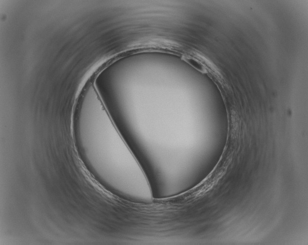 X0000069380788200605120916