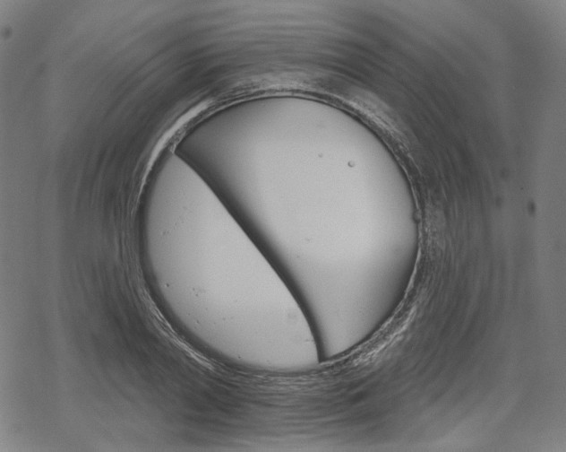 X0000069380790200605120916