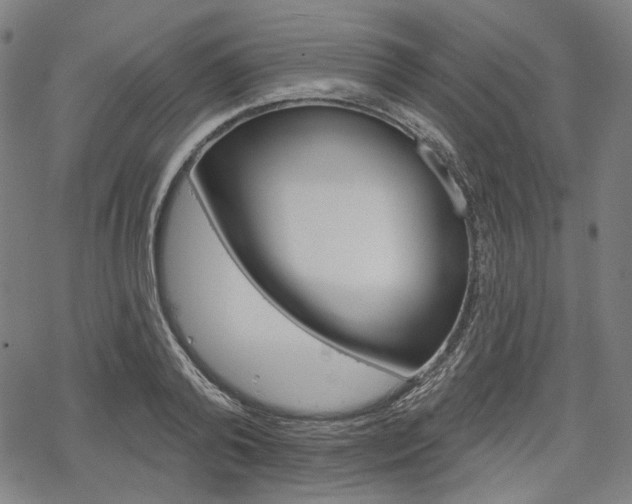 X0000069380792200605120916