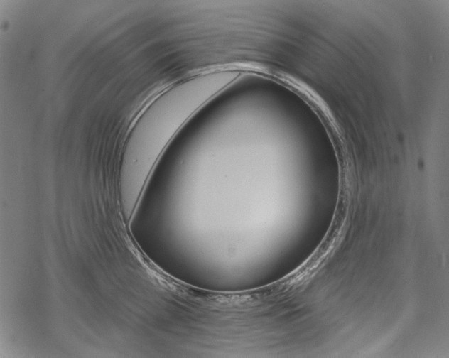 X0000069380809200605120916