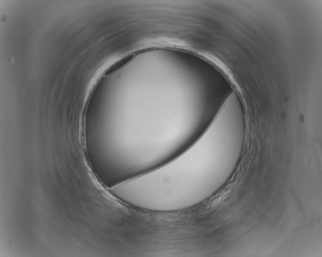 X0000069380815200605120916