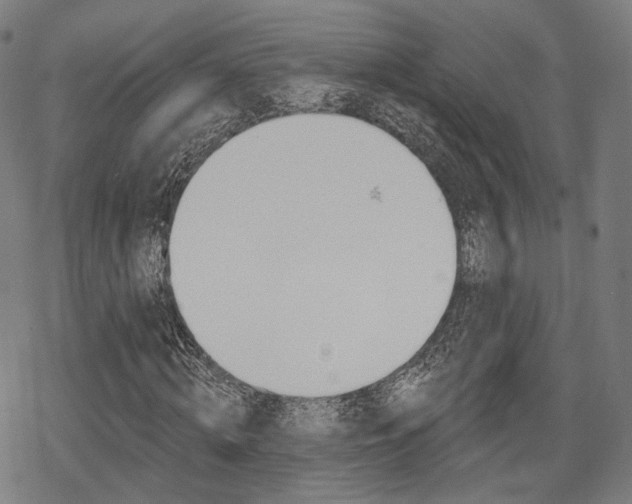 X0000069380820200605120915
