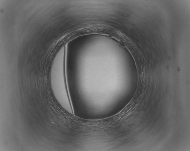 X0000069380822200605120915