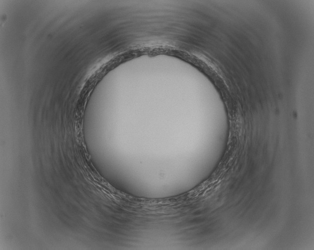 X0000069380823200605120915