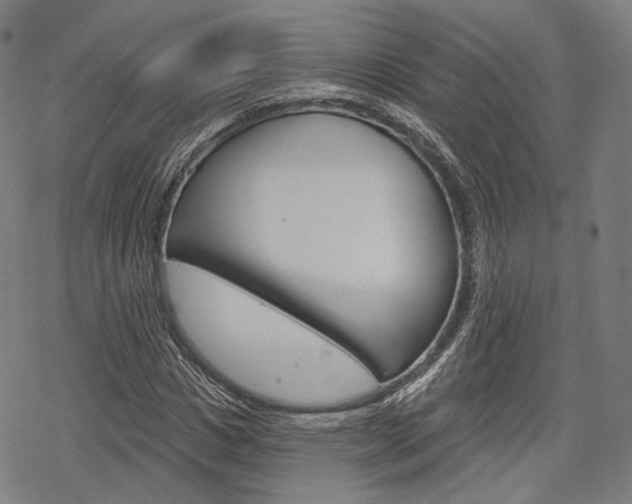 X0000069380825200605120915