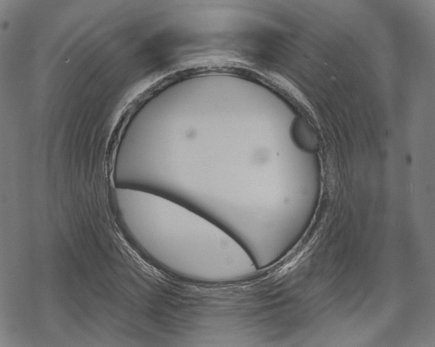 X0000069380831200605120915