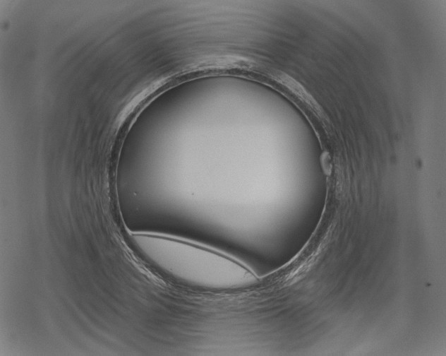 X0000069380834200605120915