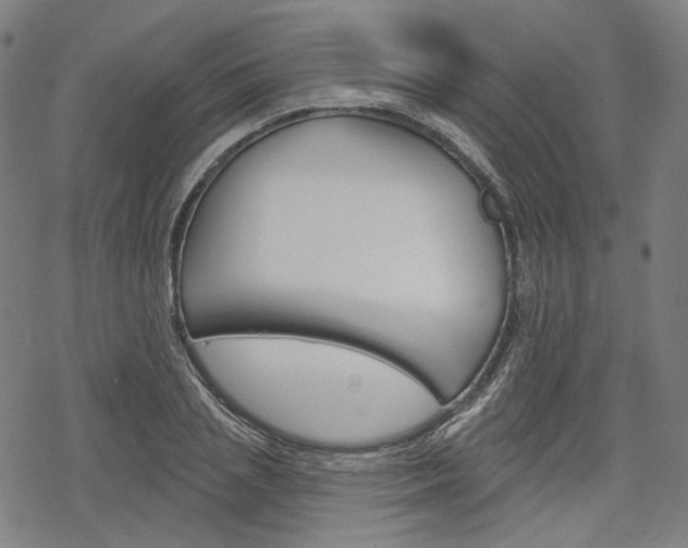 X0000069380837200605120915