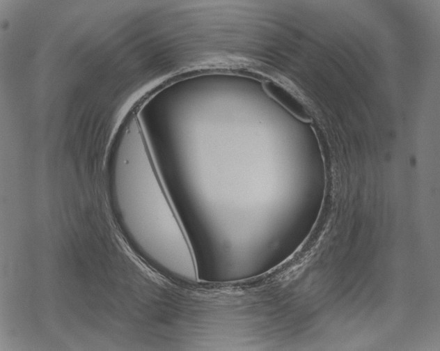 X0000069380838200605120915