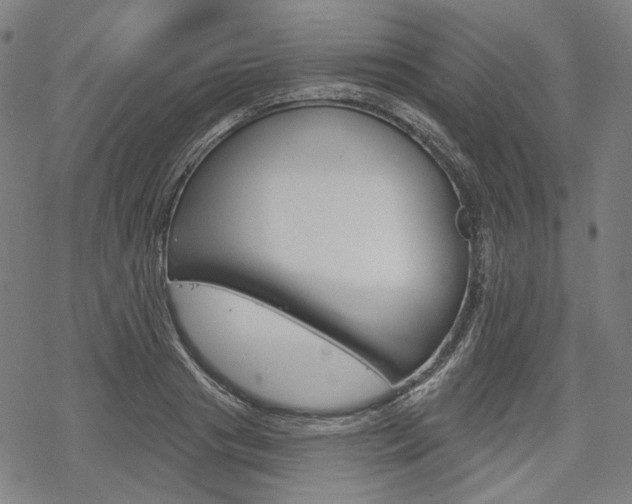 X0000069380841200605120915
