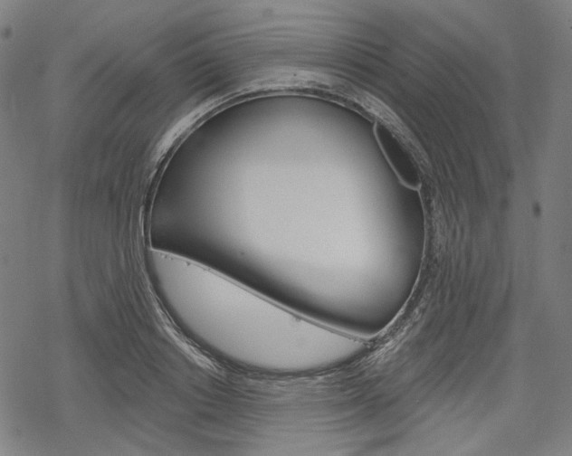 X0000069380842200605120915