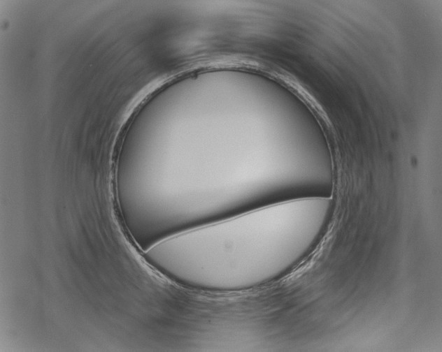 X0000069380853200605120916
