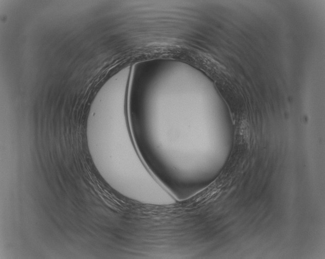 X0000069380868200605120915