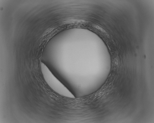 X0000069380869200605120915